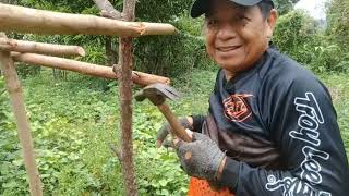 bahay paitlogan Ng manok bubong na Laang ang kulang.