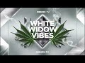 viens au white widow reggae vibes by mrnox_tv