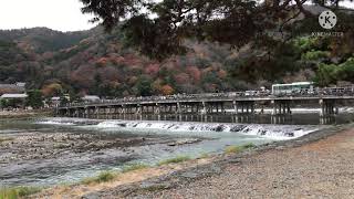 Togetsukyo bridge in Kyoto, Japan | 4K | No Copyright \u0026 royalty free videos (no music or sound)