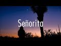 Shawn Mendes, Camila Cabello - Señorita (Lyrics)