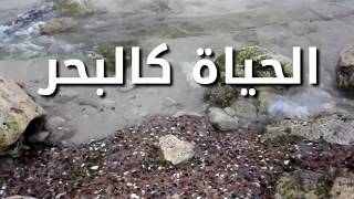 اعرف قواعد الحياة - دكتور أكمل نجاح