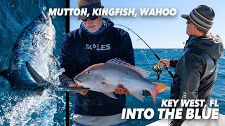 STRIKING OUT Dropping Sandballs for MUTTON - KINGFISH/WAHOO to the RESCUE | Into the Blue