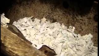 Medieval Paper Making Process
