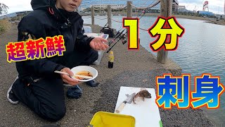 【最速】釣った魚１分以内に捌いて食べる