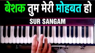 Beshak Tum Meri Mohabbat Ho | Kumar Sanu | Sur Sangam | Harmonium