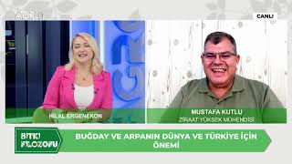 Buğday - Arpa Üretiminde Karşılaşılan Zorluklar  - Ziraat Yüksek Müh. Mustafa Kutlu | Bitki Filozofu