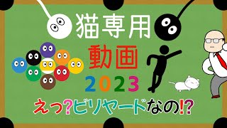 猫専用動画 2023 cat game for cat. えっ？ビリヤードなの！？編　効果音あり