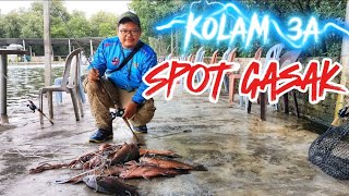 Spot Gasak Kolam 3A Sea Lion ( Air pasang Besar)