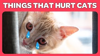 14 Things You Do That Hurt Your Cat You Must Stop Doing!