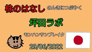 【坪田ラボ】株のはなし　のんきにつぶやく