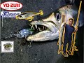 MONSTER BARRACUDA ON YO-ZURI 3D INSHORE TWITCH BAIT!!!!EPIC LURE!!EPIC FIGHT!!!