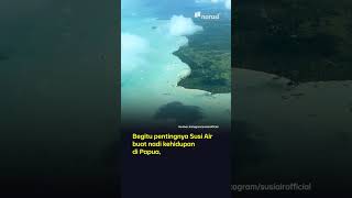 Gara-gara Penculikan dan Gangguan Keamanan, 40% Penerbangan Susi Air di Papua Terganggu | Buka Data