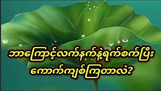 သစ္စာရွှေစည်ဆရာတော်အရှင်ဥတ္တမ ဟောကြားတော်မူသည့်လောဘ၏အပြစ်ကြီးမားကြောင်းတရားတော်