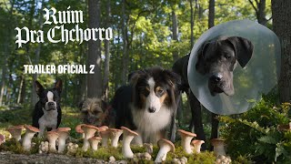 Ruim pra Cachorro | Trailer 2 Oficial