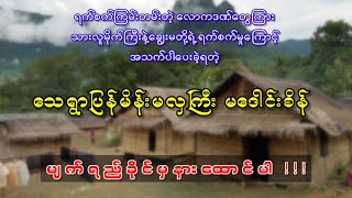 သားမိုက်ကြီးနဲ့ချွေးမတို့ရဲ့ ရက်စက်မှုကြောင့် အသက်ပါပေးခဲ့ရတဲ့  သေရွာပြန် မိန်းမလှကြီး မဒေါင်းစိန်