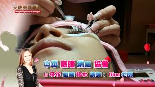 Gina美睫頻道-山茶花的七大造型介紹 eyelash extension