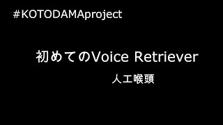 初めてのVoice Retriever