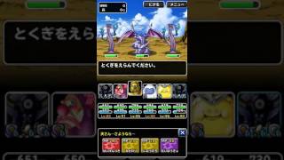 DQMSL 聖なる巨竜　攻略