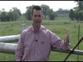 Jason Cleere - Beef & Cattle Literacy - Feeding Grain