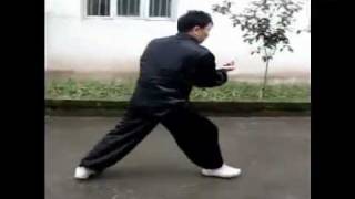 Emei, ChanSi Quan (Reeling Silk Boxing)