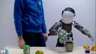 iCub - Humanoid Platform