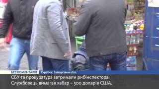 СБУ та прокуратура затримали рибінспектора