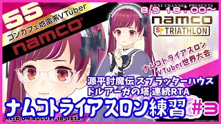 【アケアカ/PS4】namcoトライアスロンVtuber世界大会練習　ドルアーガの塔 /源平討魔伝/スプラッターハウス #3【レトロゲーム/Vtuber】