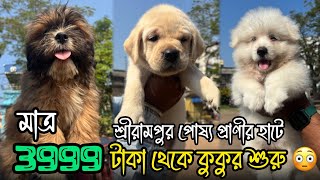 3999 টাকায় কুকুর ছানা 😳🔥| Serampore New Pet Market | Dog Market in Kolkata | Serampore Dog Market