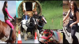 Compilation Best Moments of Appleby and Ballinasloe Horse Fair 2024