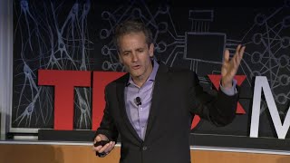 Neuroscience+AI can unlock hidden visual interface for the emotional brain | James DiCarlo | TEDxMIT