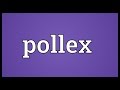 Pollex Meaning