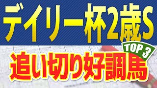 デイリー杯2歳ステークス（2023）追い切り・調教が好調だった「トップ3」はこの馬だ🐴 ～JRAデイリー杯2歳Sの競馬予想～