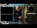 5 rules largemouth vs. smallmouth bass