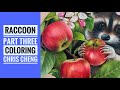 RACCOON - Part 3: Apples Coloring // Chris Cheng