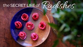 The Secret Life Of Radishes (+ Recipes)