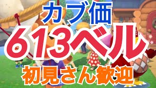 【あつ森】ライブ参加型 カブ価613ベルなどや流星群など　かぶ手数料なし