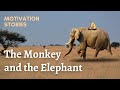 Motivation Story About Teamwork: The Monkey and the Elephant