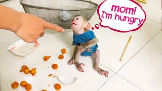 What Happens When a Mischievous Monkey Meets an Angry Mother? #monkey