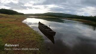 Aanavari, Peechi- Vazhani Wildlife Sanctuary