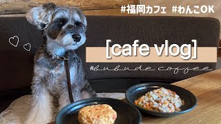 【VLOG】愛犬とカフェに来たら緊急事態発生😭!?