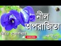 নীল অপরাজিতা neel aparajita মিহির মুখোপাধ্যায় bengali audiobook golpopath pritha