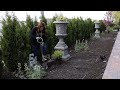 Planting a Glow Girl Spirea in the Moon Garden! 🌙🌿🙌// Garden Answer