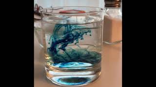 Seawater Density Experiment