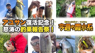 アユサン復活記念・怒涛の釣果報告祭！『霞オカッパリガイド・アユサンの今週の霞水系』