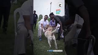 Rahul Gandhi spends some light-hearted moments chilling with dog during Bharat Jodo Yatra