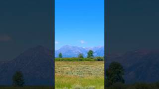 Where Wilderness Meets Wonder: Grand Teton National Park