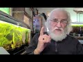 how to cycle your aquarium with fish