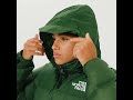 THE NORTH FACE Shiny 1996 Retro Nuptse Down Jacket Green Women | Sustainable | 3XEO-I0P