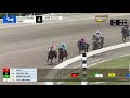 Gulfstream Park Carrera 4 - 3 de Abril 2021