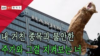 [서울경제TV]지배구조 개편 기대 vs 경영권 분쟁...한진그룹주 미래는?